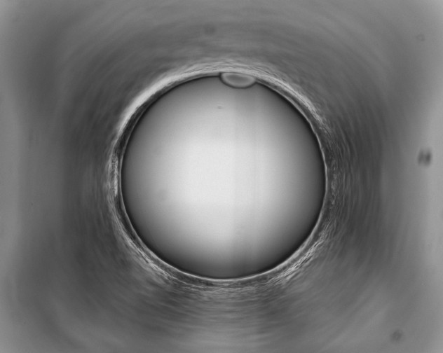X0000101111510200806261056