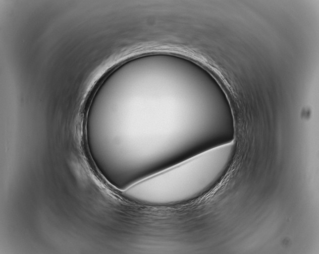 X0000101111511200806261056
