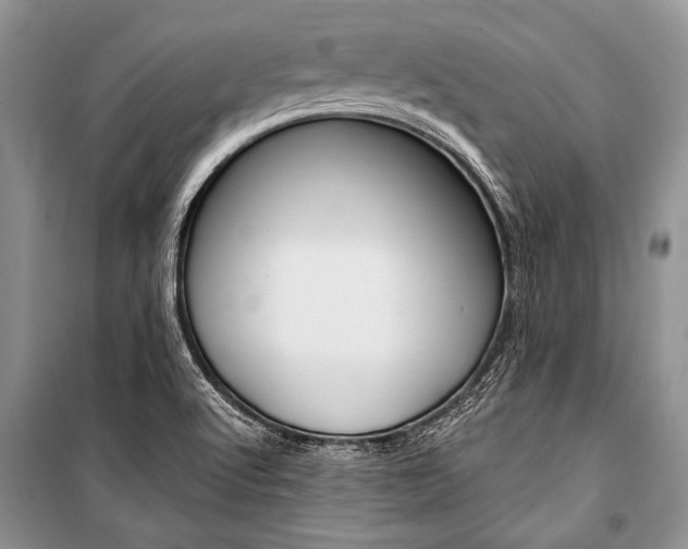 X0000101111512200806261056