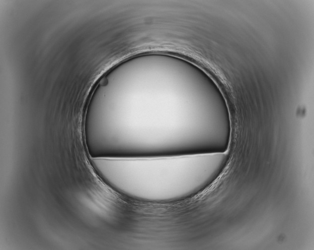 X0000101111513200806261056