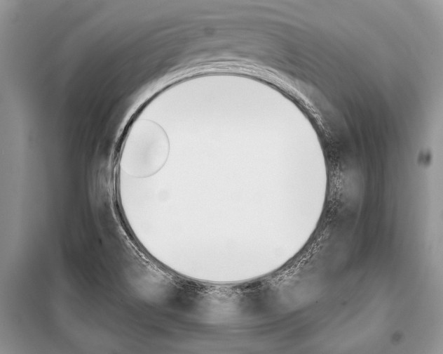 X0000101111514200806261056