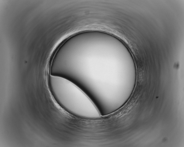 X0000101111515200806261056
