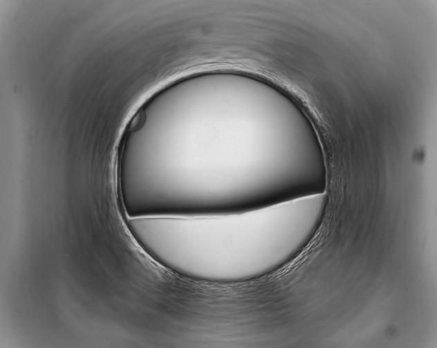 X0000101111516200806261056