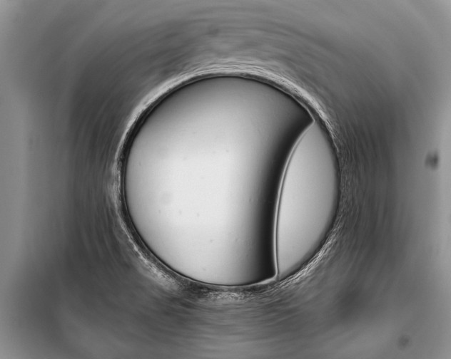 X0000101111517200806261056
