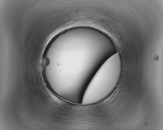 X0000101111519200806261056