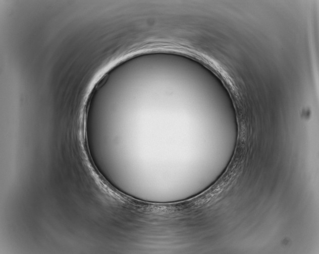 X0000101111520200806261056