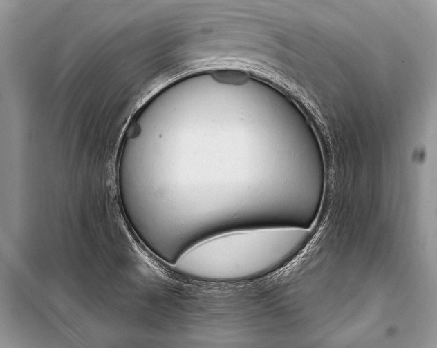 X0000101111521200806261056