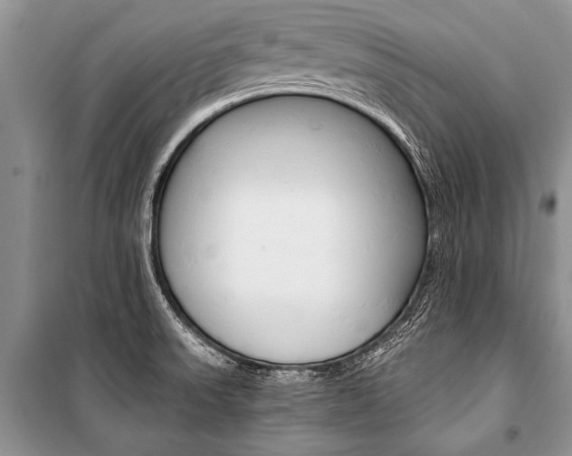 X0000101111523200806261056