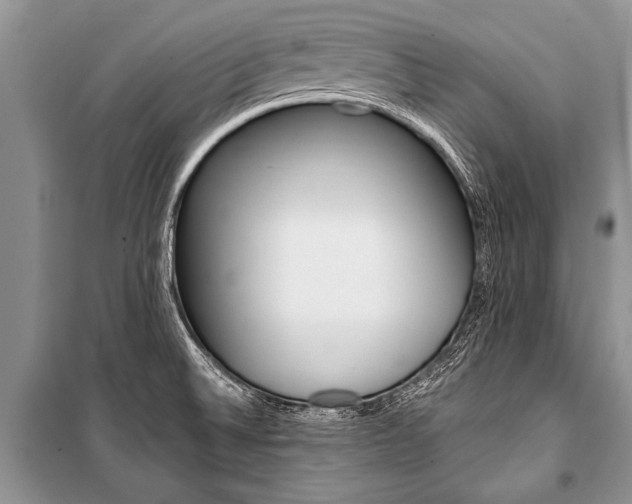 X0000101111524200806261056