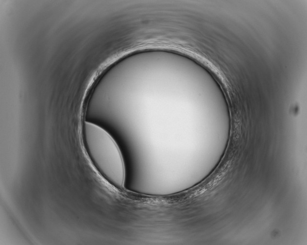 X0000101111525200806261056