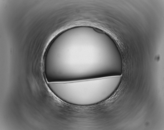X0000101111527200806261056