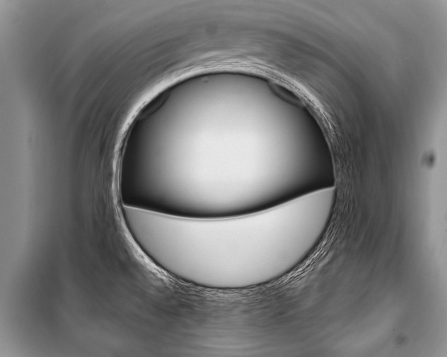 X0000101111528200806261056
