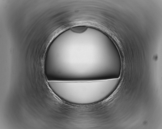 X0000101111529200806261056