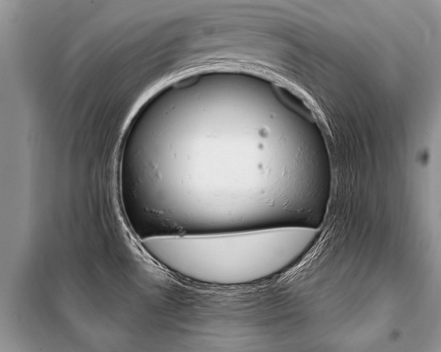 X0000101111530200806261056