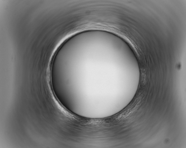 X0000101111531200806261056