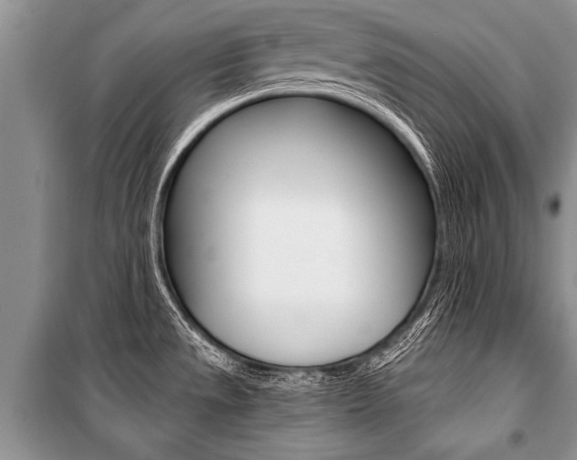X0000101111533200806261056