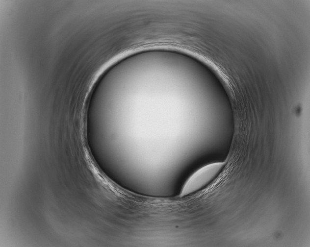 X0000101111534200806261056