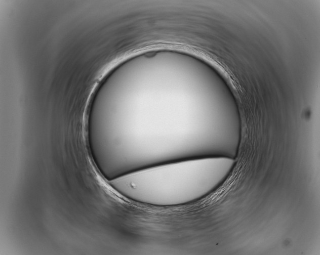 X0000101111535200806261056