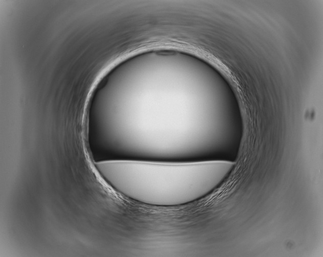 X0000101111536200806261056