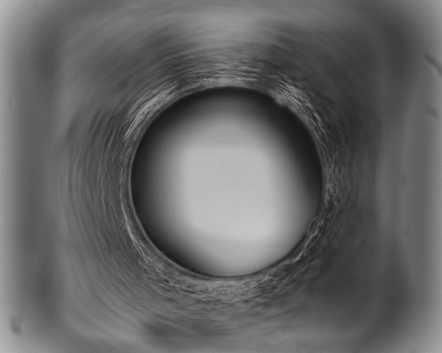X0000101110001200806261423