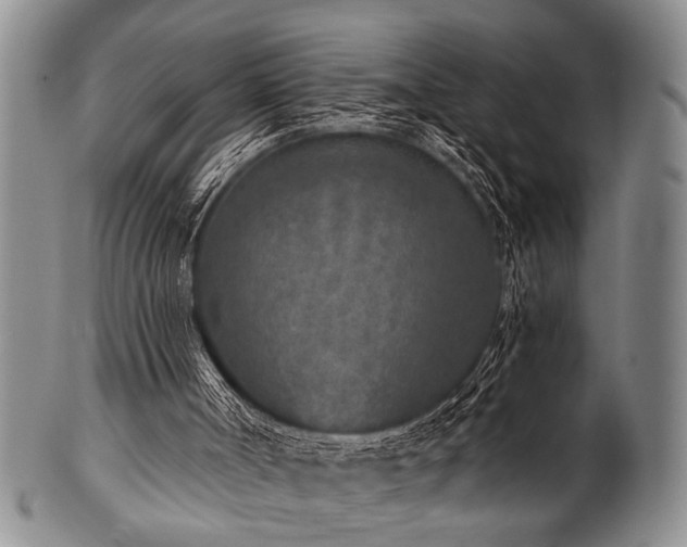 X0000101110002200806261423
