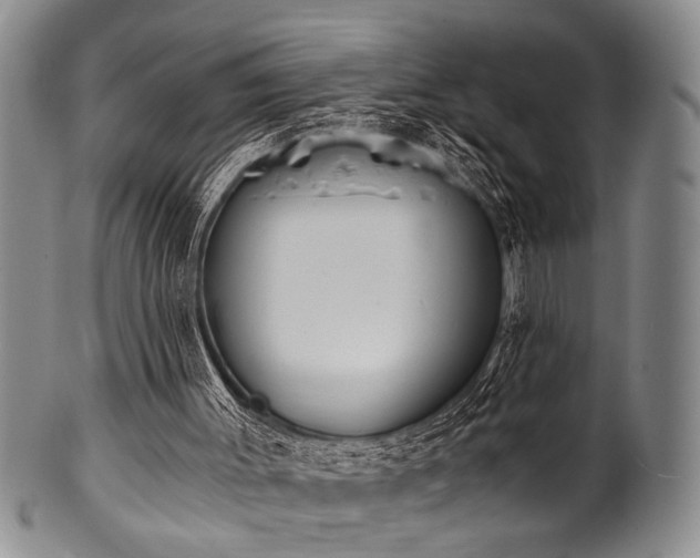 X0000101110003200806261423