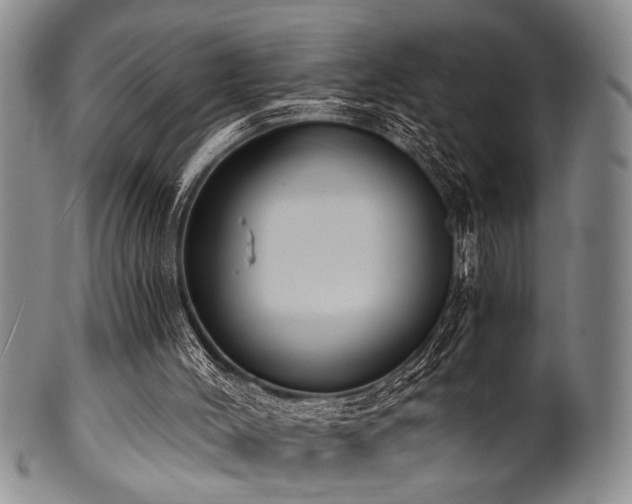 X0000101110004200806261423