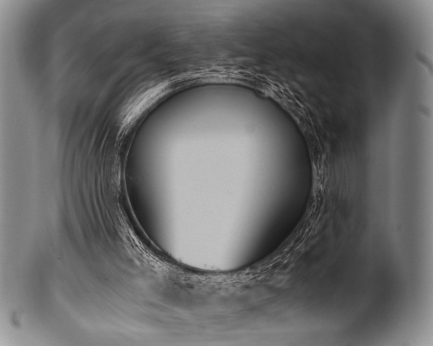 X0000101110005200806261423