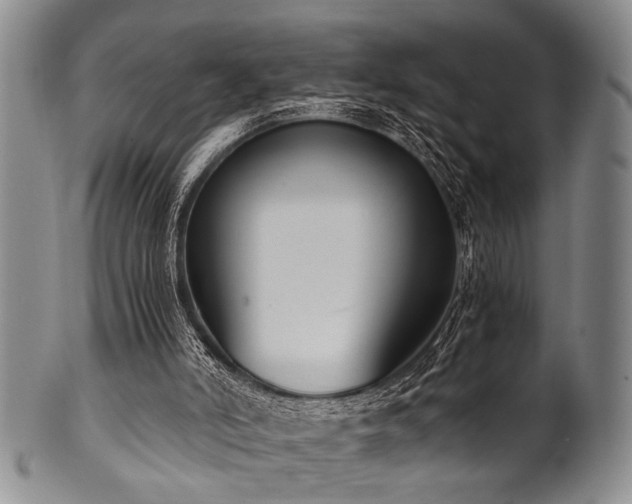 X0000101110006200806261423