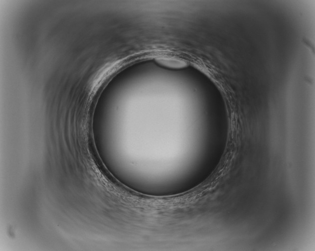X0000101110007200806261423
