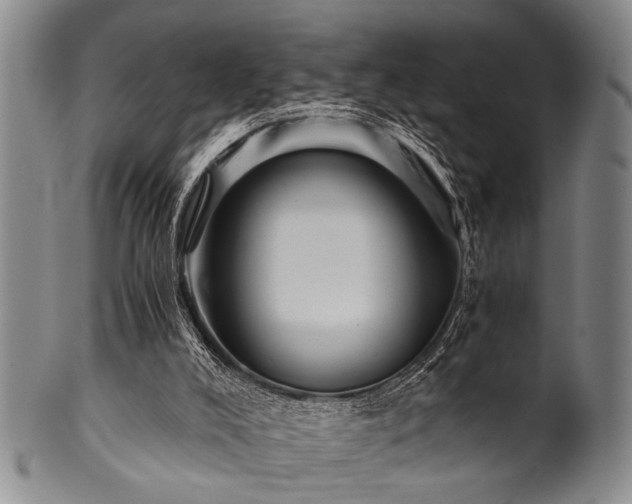 X0000101110008200806261423