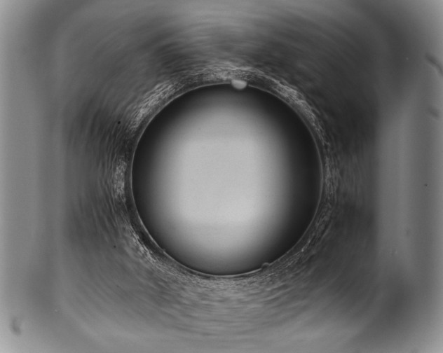 X0000101110010200806261423