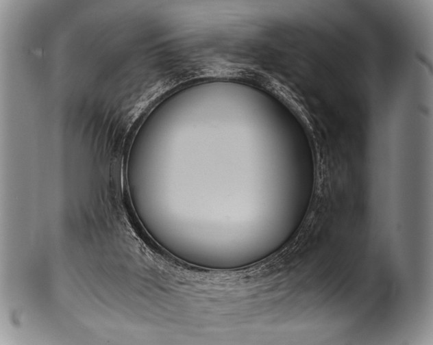 X0000101110011200806261423
