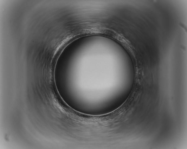X0000101110012200806261423