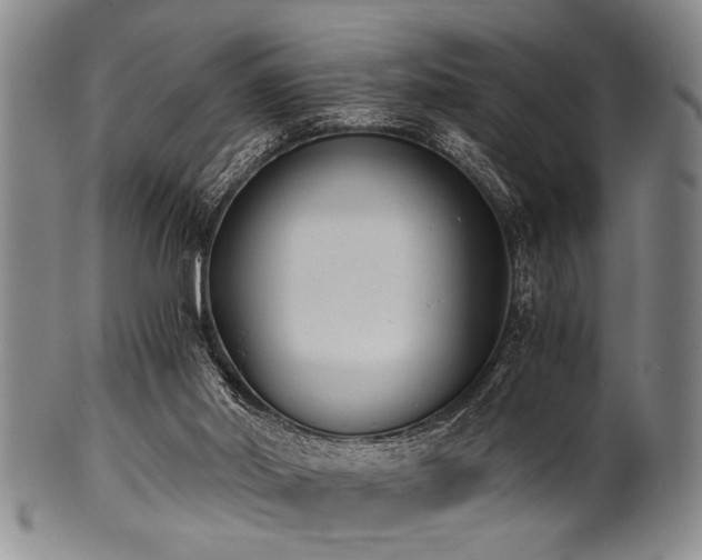 X0000101110014200806261423