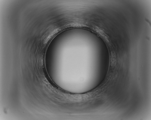 X0000101110015200806261423