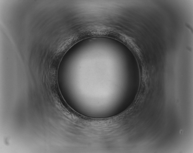 X0000101110017200806261423