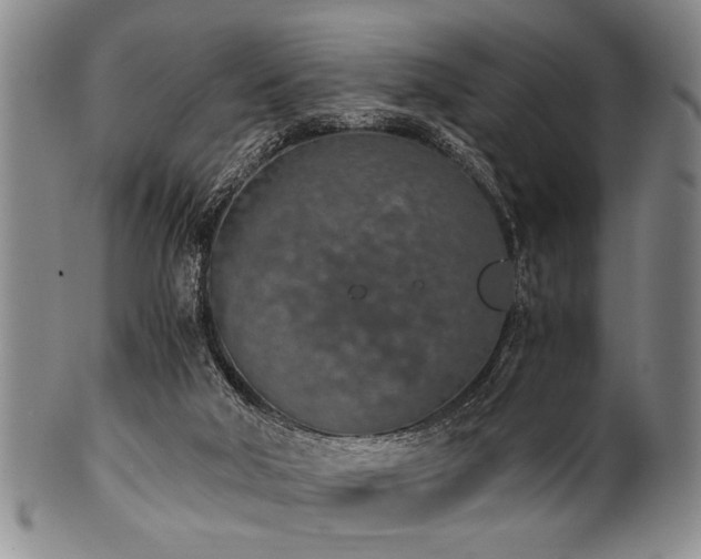 X0000101110018200806261423
