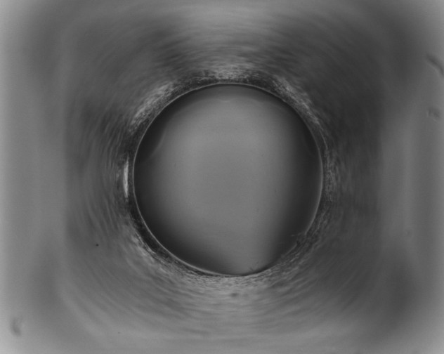 X0000101110019200806261423