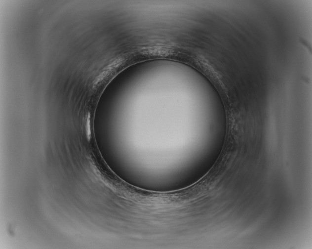 X0000101110020200806261423