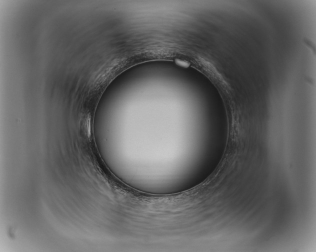 X0000101110021200806261423