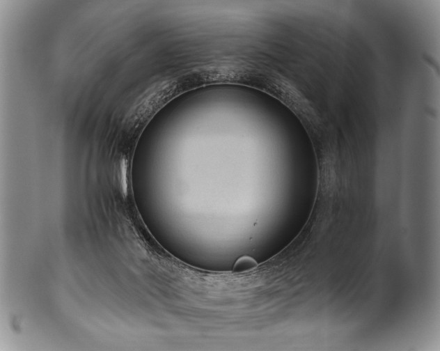 X0000101110022200806261423