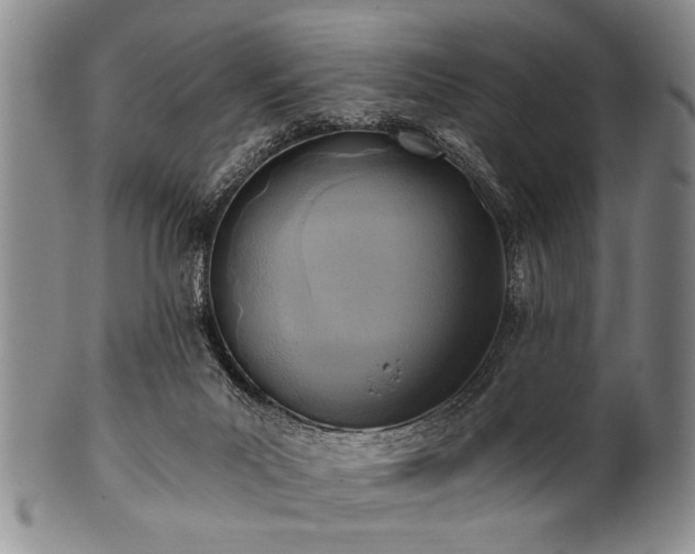 X0000101110023200806261423
