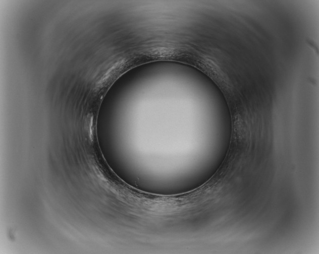 X0000101110024200806261423