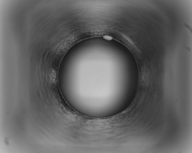 X0000101110025200806261423