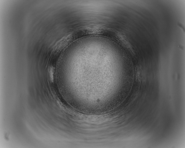 X0000101110026200806261423
