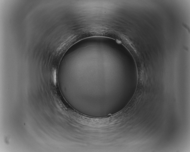 X0000101110027200806261423