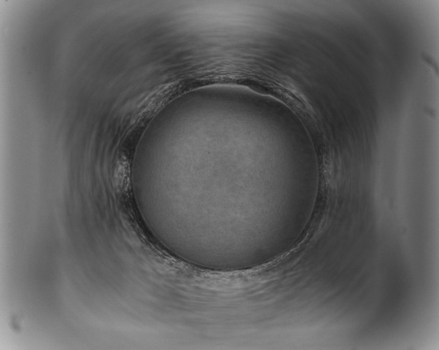 X0000101110029200806261423