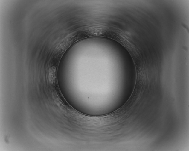 X0000101110030200806261423