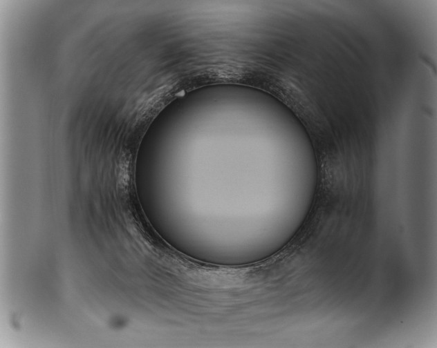 X0000101110032200806261423